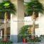 GNW APM026 Palm Tree in Artificial Trees 12ft Tall for Home Decor on Sale