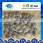 Frozen Vacuumed Short Necked Clam Cheap Pirce For Sale