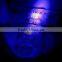 G10 uv Led Detector/365nm Nichia uv Led Flashlight /365 nm uv Lamp
