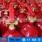 JC-C2 Cheap Carbon Dioxide Fire Extinguishers