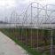 Agricultural Greenhouses For Soilless Hydroponics