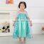 2015 Latest Frozen Dress Design, Disny Snow Queen Frozen Elsa Dress Wholesale,Frozen Elsa Dress