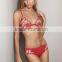 Runwaylover 5496 Hot Sale Mesh Sexy Embroider Bra Set