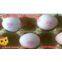 egg stamping for Italy