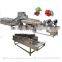 Small Home Type Carrot Cleaner Tomato Vegetable Washing Machine