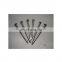 Top quality polished common round head iron wire common nails