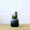 small customized size new fabric plant growth felt vertical wall planter bag