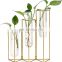 Hydroponics Clear Planter Nordic Style Test Tube Vase with Metal Stand
