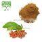 Natural long pepper extract Fructus Piperis Longi Extract