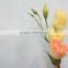 Wide variety hot selling eustoma flower for decoration