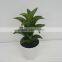 Green cheap tropical plants artificial succulent plants and artificial cactus flower