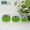 15g 30g 50g Green Acrylic Cosmetic Plastic Jar With Screw Lid