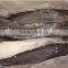 Whole Round Catfish (Silurus Asotus)