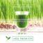 JHigh quality and Reliable green smoothie dietary fiber with multiple functions