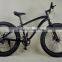 OEM hot selling fat bicycle mountain bike