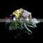 cute crystal glass ladybird for souvenir