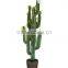 High Quality Decorative artificial cactus
