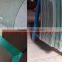 curved tempered glass