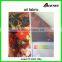 90g Digital Print Silk Fabric for Banner, Flag,dress,pillow