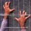 Anti-Climb Fence/Anti-Cut Fence (High Security For Zoo)