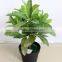 wholesale artificial tree/artificial plant/fake plant