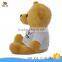 Cheap Plush Doctor Bear Toy New Design Stuffed Bear Toy With Doctor Coat