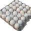 Pulp Moulded manual egg tray machine
