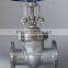 Stainless Steel 316 Gate Valve