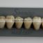 Huge Dental Sonning Full set Acrylic Denture Teeth