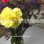Fresh Cut Flower Importers Fresh Flowers Carnations From Kunming Yellow Wholesale Carnation Flowers