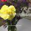 Wholesale Fresh Cut Carnation Flower As Gifts Yellow Natural Carnation Flowers