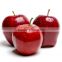 Chinese fresh red delicious sweet crispy vitamin and minerals Tianshui huaniu apple