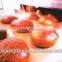 PTFE teflon baking sheet oven liner supplier