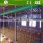 automatic chicken broiler equipment house