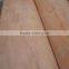 Rotary Cut Okoume Sheet Veneer for Plywood