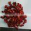 dried sweet red bell pepper