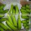 Bananas, Green Cavendish Bananas, Best Price