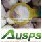 china fresh red garlic exporters