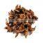 Best selling broken star anise aniseeds from Vietnam, high quality by HAGIMEX