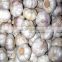 Online Hot Sale of Jinxiang Garlic in Bulk