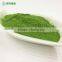 Factory Supply Spinach Powder Sale On The Spot
