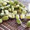 CARDAMOM ESSENTIAL OIL