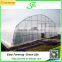 Low Cost Greenhouse Tunnels Polytunnel Green House