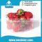 OEM Blister Strawberry Plastic Tray