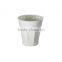 bamboo fiber cup