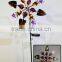 Garden Decoration Solar Led Light Wind Spinner by Solar Power for Out door Garden Stake