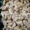 IQF cooked baby clam meat without shell for export