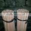Hot selling wood stick with plastic cap made in China