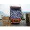 detergent powder(skype:topsellernike)
