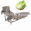 Continuously leafy vegetable fruit lettuce cabbage bubble washing machine with ozone from China factory